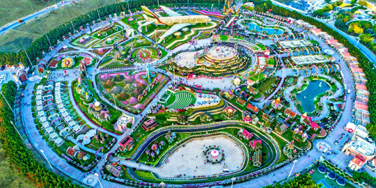 Miracle Garden